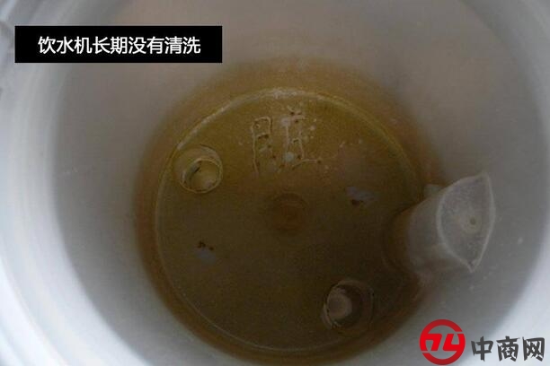 家中最“脏”的水竟然是它！发现后果断不喝了