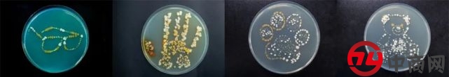 拒绝割韭菜 谁说流量和实力不能兼顾?插图9
