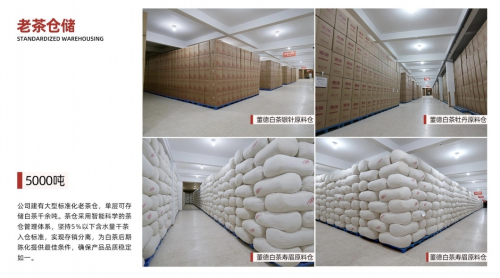 福鼎白茶最大代工厂董德茶业获尚普咨询认证：老白茶储备量全国第一
