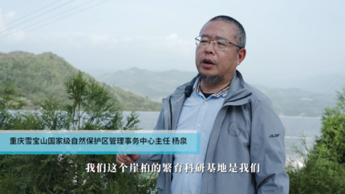 召集万名重庆“森邻守护者”百特有机纯牛奶致力环保公益