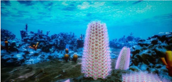 西大团队在陕西汉中发现珍稀化石 实证苔藓动物门起源于寒武纪早期